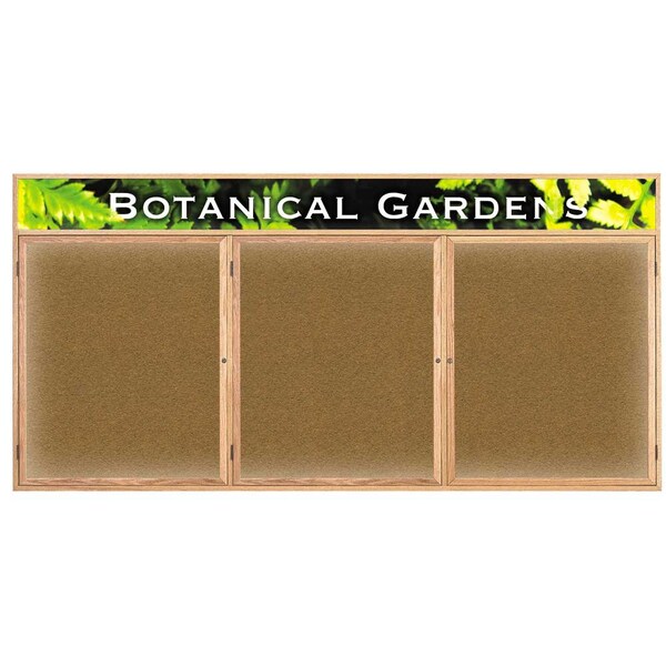 Open Faced Traditional Rounded Corkboard